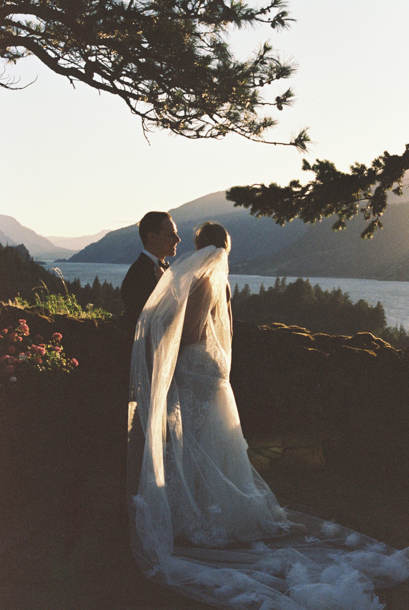 film photo of the bride and groom at sunset