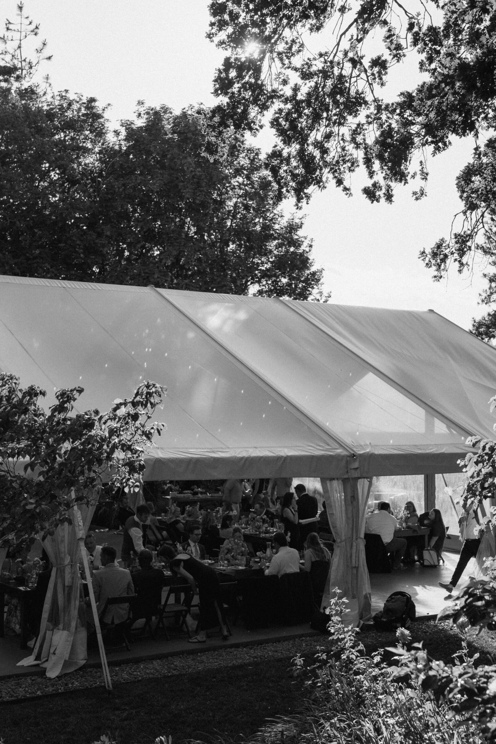 the reception tent found at the griffin house