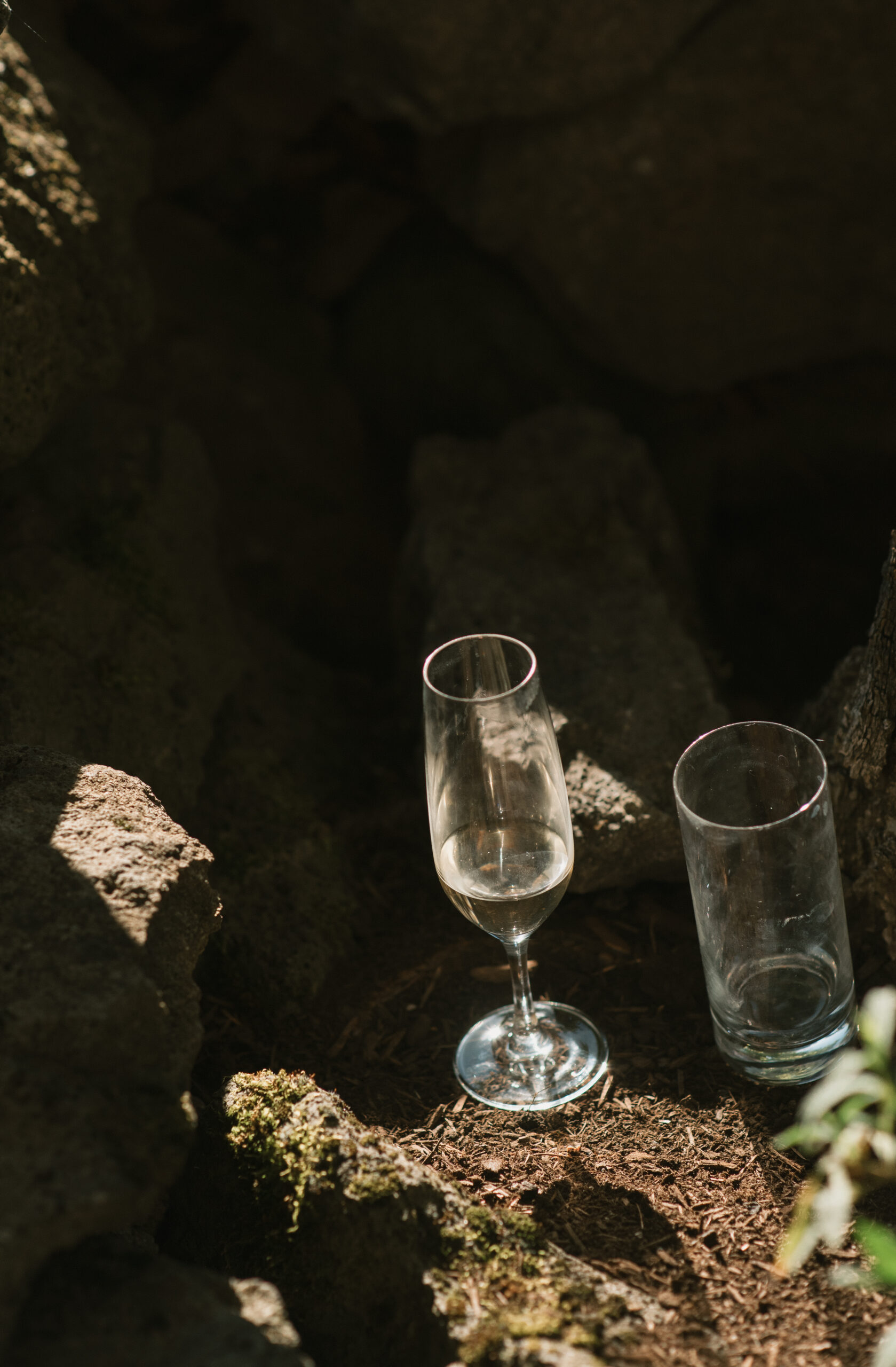 Champagne flutes discarded in dirt