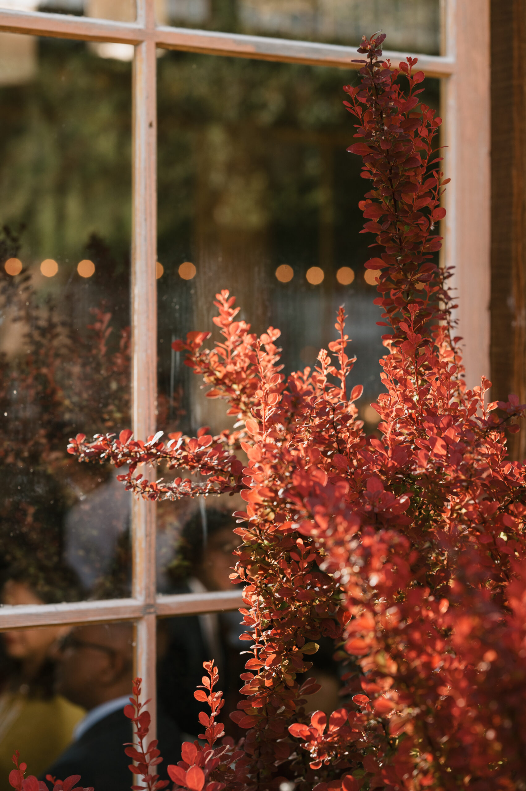 scenery photo of Mt Hood Organic Farms wedding