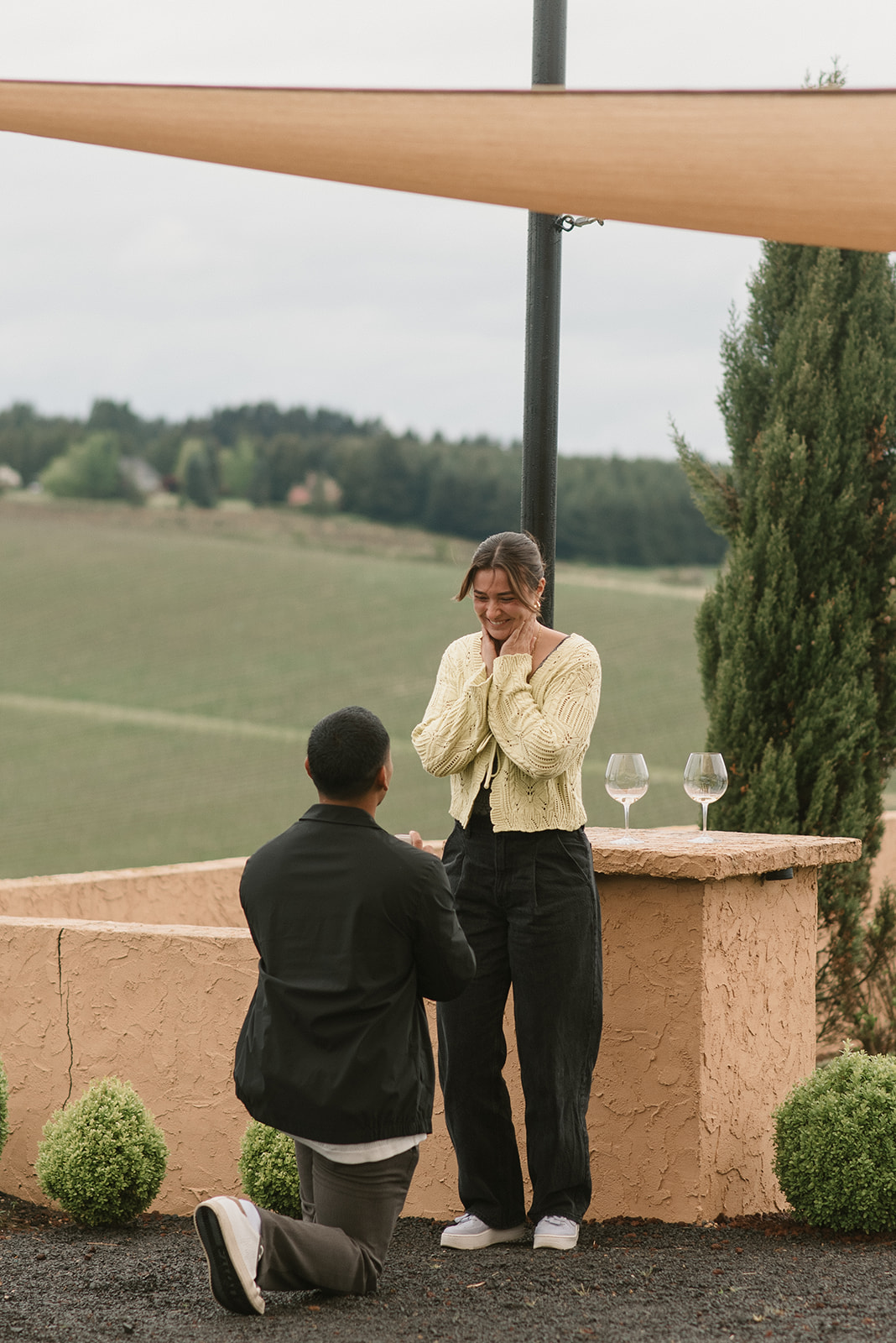 man preforming a winery proposal