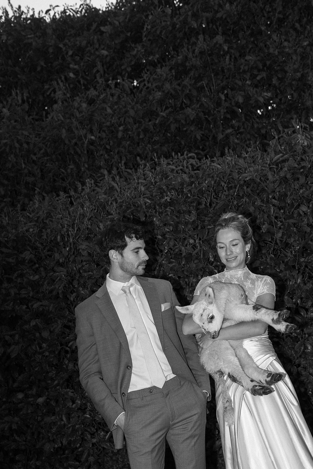 black and white editorial shot of bride and groom holding a lamb in ireland